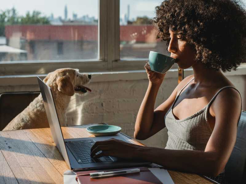 Experiența Finlandei